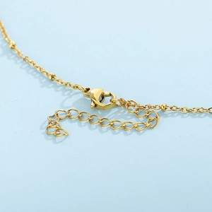 Golden titanium steel pony necklace showing lobster clasp and extension chain details