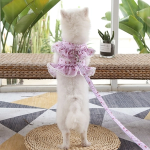 Pink floral lace pet harness dress with matching leash shown on a small white dog