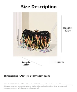 Detaillierte Größenangaben für Pailletten-Abendtasche: 21cm lang, 5cm breit, 12cm hoch
