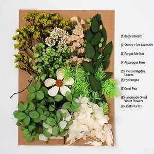 DIY dried flower material kit for handmade crafts and home decor with assorted botanicals