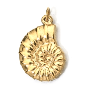 Macro view of golden nautilus shell pendant with polished metallic finish and link ring