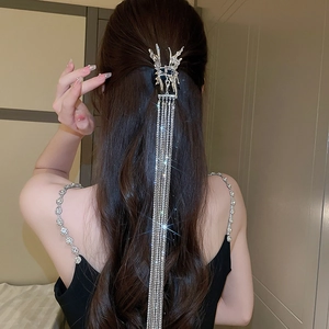 Détail d'une pince à cheveux papillon argentée avec de longs glands en strass