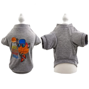 Detailed close-up of grey dog t-shirt featuring a cartoon basketball graphic and cool lettering