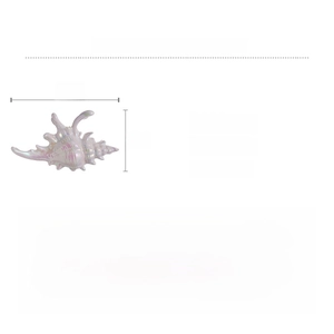 Detailed size chart of shell-shaped acrylic hair claw clip with pearlescent finish