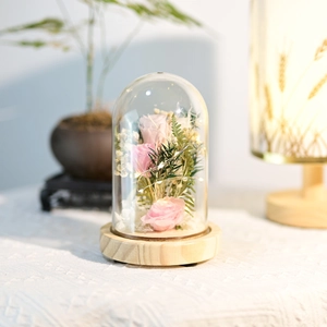 Eternal pink rose in glass dome with LED lights and wooden base for romantic gifting