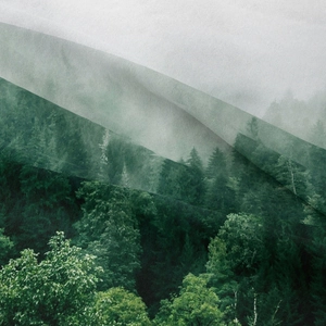 Bohemian forest wall tapestry featuring misty pine trees in deep green and grey tones