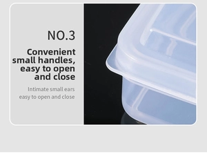 Detail view of the food storage container lid showing the easy-to-open handle tab design
