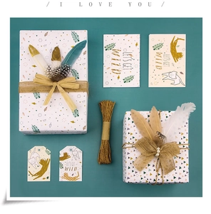 DIY leopard print gift wrapping set with jute twine, decorative feathers, and tags