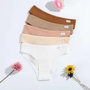 Lot de cinq slips en coton côtelé pour femmes aux tons terreux avec une coupe confortable