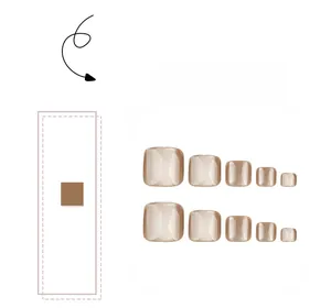 Detail showing champagne gold cat-eye magnetic press-on toenails in various sizes