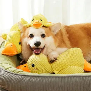 Jouet interactif en peluche canard pour chien avec velours texturé pour la santé dentaire