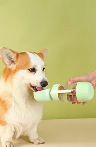 Close-up of a Corgi drinking from a portable light green pet water bottle dispenser