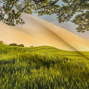 Tapisserie bohème paysage naturel avec collines vertes et arbres pour décor mural