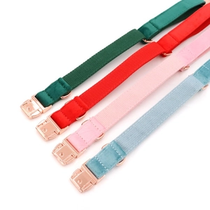 Detailed close-up of velvet pet collars in four colors with rose gold metal buckles