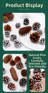 Détails de pommes de pin naturelles avec effet neige pour décorations de Noël DIY