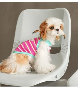 Détail du gilet rayé rose et jaune pour chien avec bordure bleue sur un petit animal