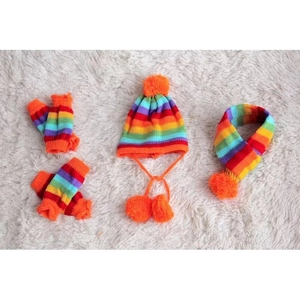 Regenboog gestreepte gebreide huisdierset met pompon muts, sjaal en pootwarmers op imitatiebont