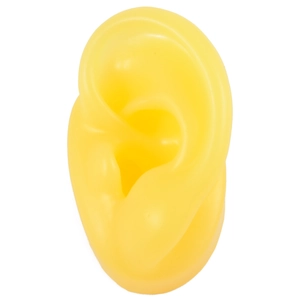 Professional yellow silicone human ear model for jewelry display and medical teaching