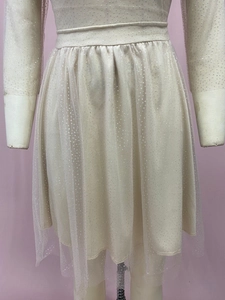 Detail of champagne mesh dress with fine glitter sequins on transparent fabric