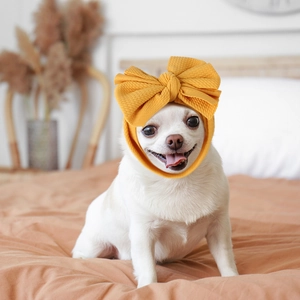 Close-up of ginger waffle knit pet bow headband on a small white dog in cozy home setting