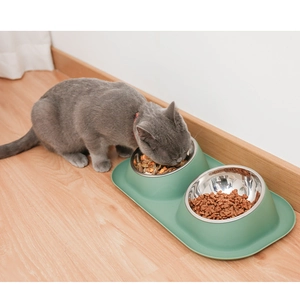 Gray cat eating from an ergonomic tilted stainless steel double pet bowl in a home setting