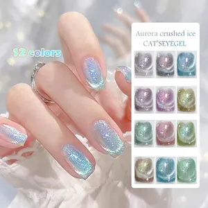 12 colors aurora sparkling magnetic cat eye nail gel polish set for professional manicure