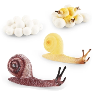 Educational snail life cycle toy set showing eggs and realistic growth stages