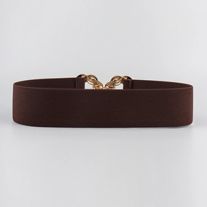 Detail of a brown elastic wide waist belt featuring a woven texture gold metal buckle