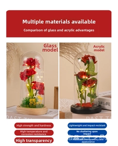 LED preserved flower lamp in glass and acrylic covers with warm string lights