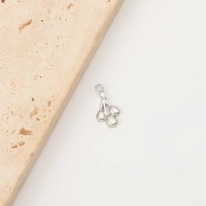 Detail of silver stainless steel fruit branch pendant on stone and white background