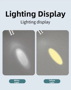 Lampe stylo médicale avec double éclairage blanc et jaune pour examen diagnostic
