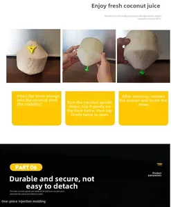 Three-step guide for using the portable coconut opener tool with stand and puncher