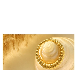 Detailed close-up of a gold-plated twisted rope chain bracelet displayed on a seashell
