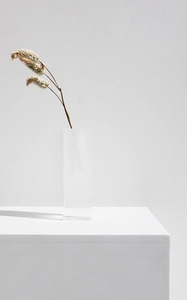 Detail of transparent acrylic rectangular vase with dried flowers in a minimalist setting