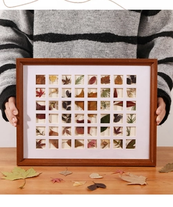 Detail of a 42-grid wooden frame showcasing varied autumn leaf specimens and pressed flowers