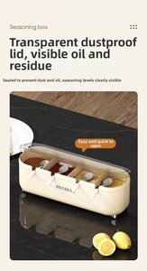 Detail of four-grid seasoning box with transparent lids and spoons for kitchen storage
