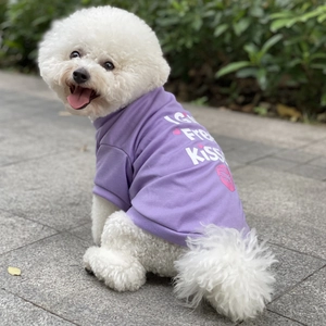 Close-up of purple cotton dog t-shirt with 'I GIVE Free KISSES' print on a bichon frise