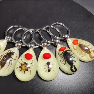 Teardrop resin keychains with real insect specimens including wasps and scorpions
