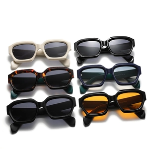 Retro thick-frame square sunglasses available in various colors like tortoise and beige