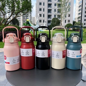 Detailed row of five colorful 304 stainless steel insulated bottles with carry handles