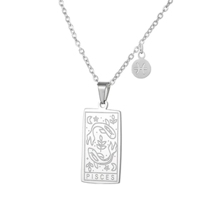 Macro detail of silver Pisces tarot pendant and zodiac symbol on stainless steel chain