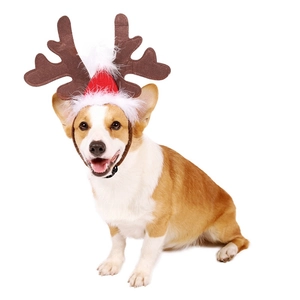 Close-up of a festive dog headband with brown antlers and a red Santa hat on a Corgi