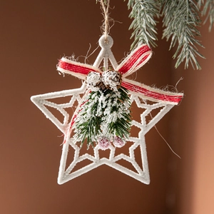 Christmas star ornament with snow texture, striped bow, pine cones and red berries