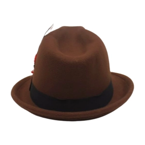 Detail of a dark brown felt fedora hat featuring red feathers and a black ribbon band