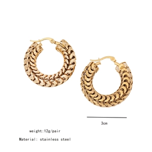 Detail showing 3cm gold-tone stainless steel mesh earrings with weight and size info