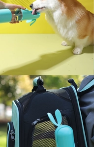 Detail showing mint green portable pet water bottle and breathable pet carrier backpack