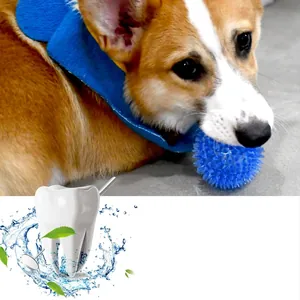 Palla blu con punte in TPR per cani per pulire i denti e massaggiare le gengive, con Corgi