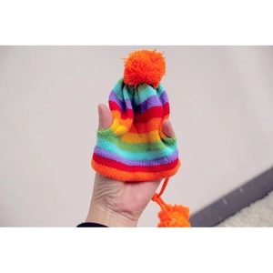 Detailopname van een regenboog gebreide muts voor huisdieren met een oranje pompon