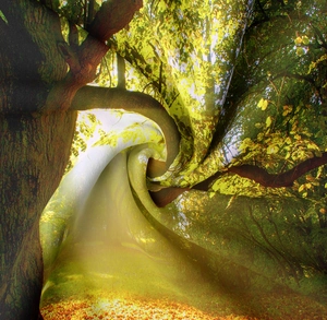 Macro shot of forest print wall tapestry fabric with smooth texture and soft drape effect