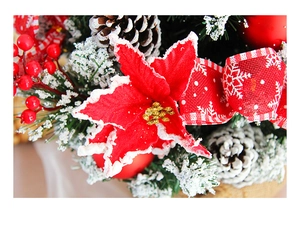 Close-up of red Christmas star flower, berries and snow-dusted pine cones